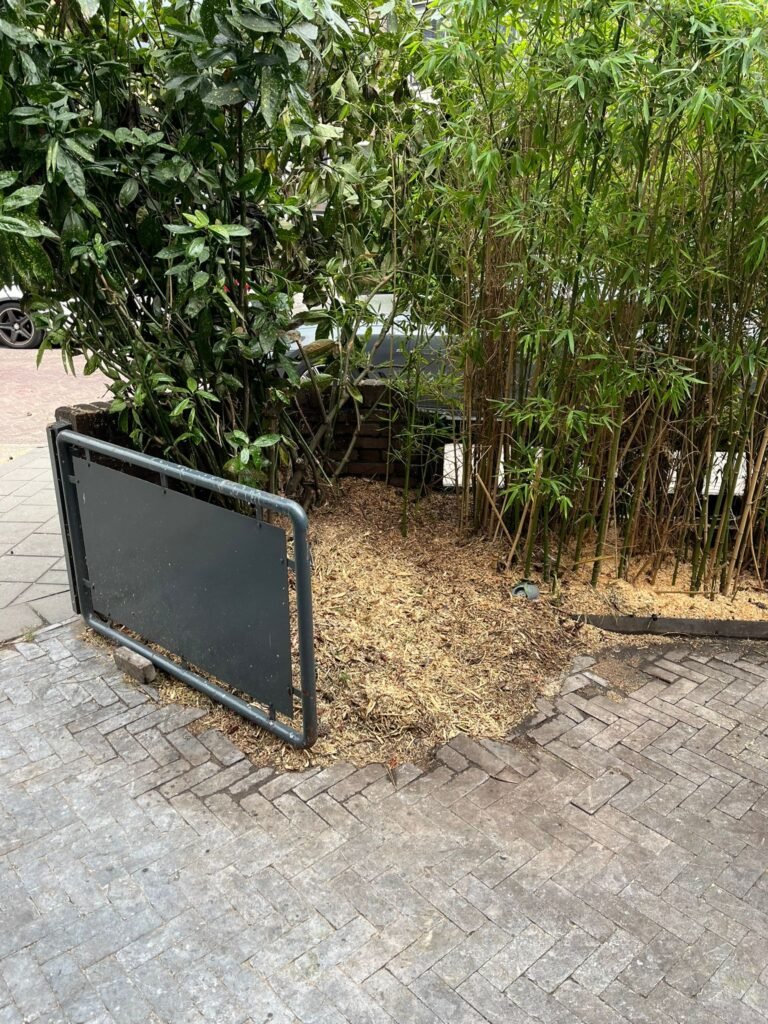 IMG-20250807-WA0004 (1)